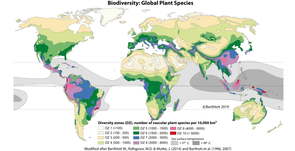 10 Rare Plants In The World That Will Amaze You Biodiversity Global Plant Species