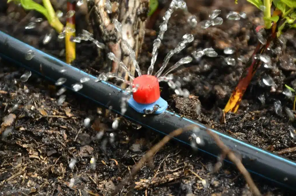 Drip Irrigation System 1024x679 - Mastering Monsoon Garden Care: Strategies for Optimal Water Management
