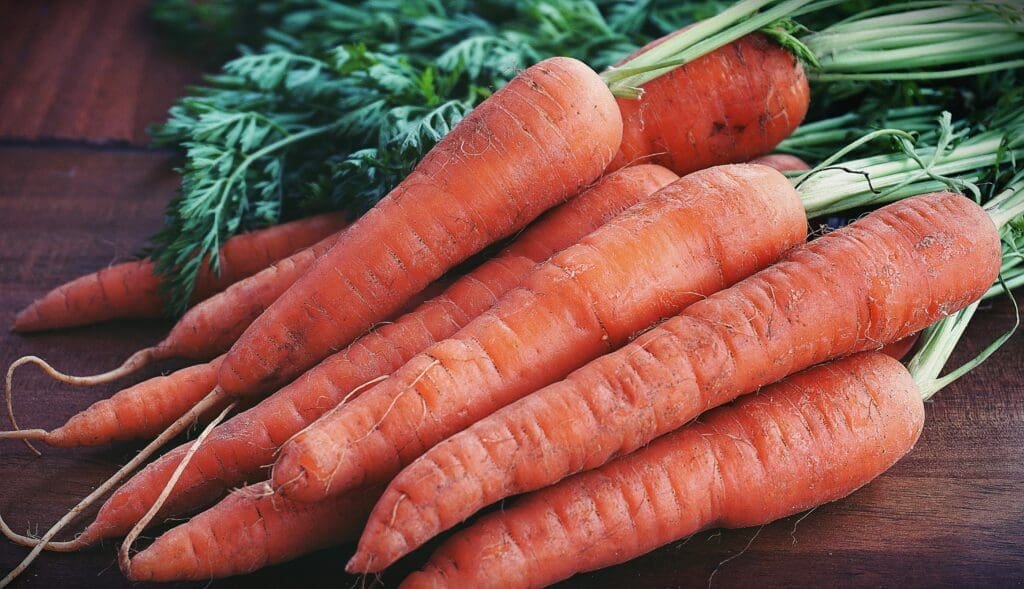 How to Grow the Biggest Carrots Ever