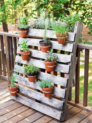 Vertical Gardening Systems Diy