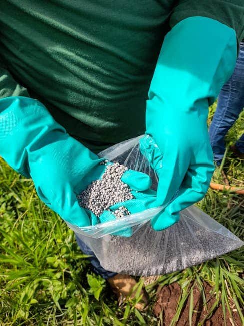 Granular vs Liquid Fertilizer: 5 Key Differences (Must-Know!)