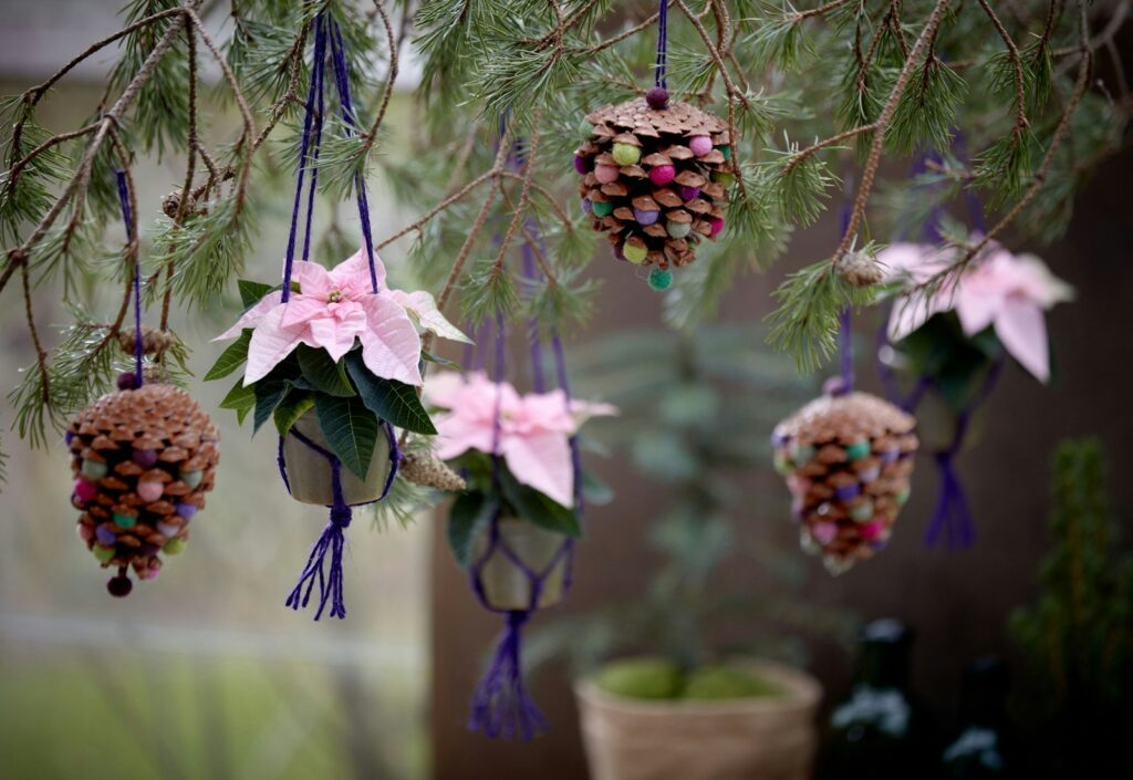 Hanging Flower Shrubs